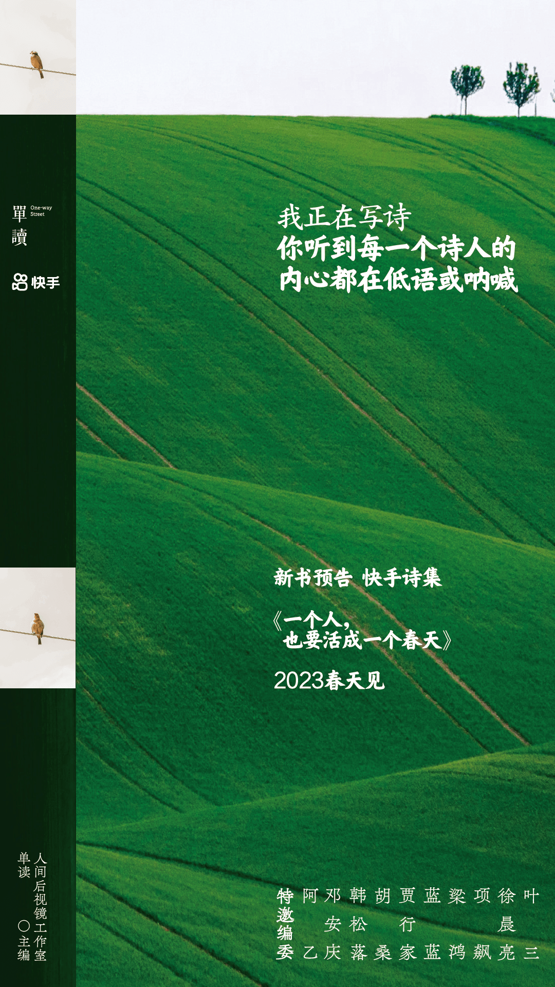 2023才过半这15张海报已经高分上岸(图6)