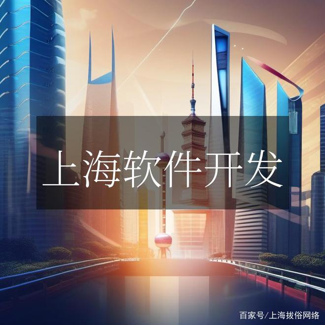 上海软件开发：从代码到创意一场视觉与逻辑的盛宴(图2)